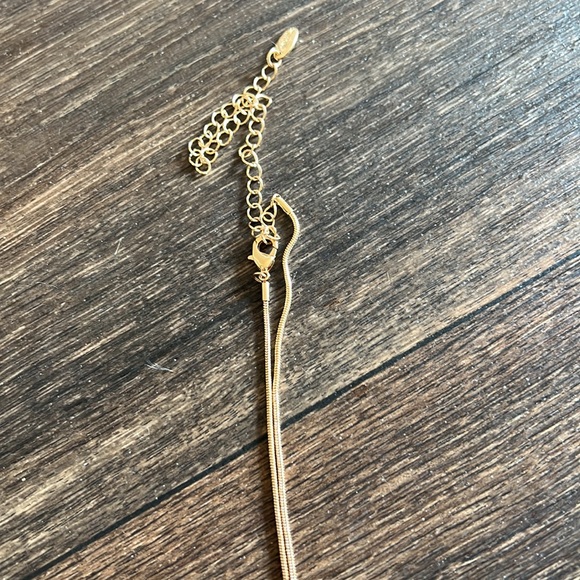 S Necklace - Picture 3 of 3